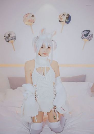 青蛙