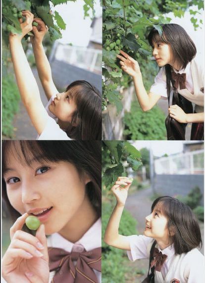 黄蜂尾后针