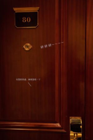 不需要爱情