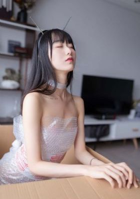 布希维克